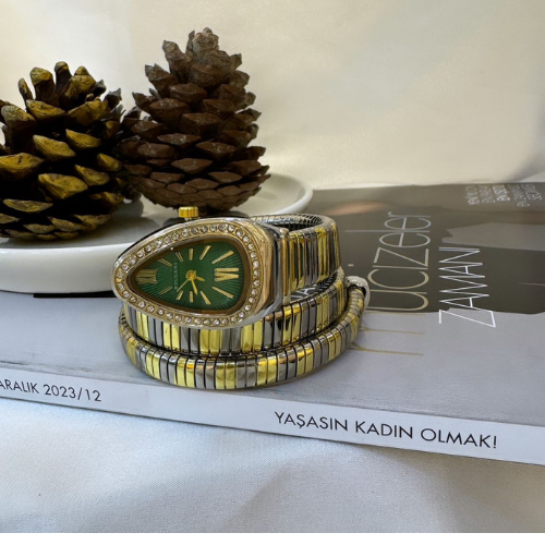 Özel Marka Yılan Model Gold Silver Saat