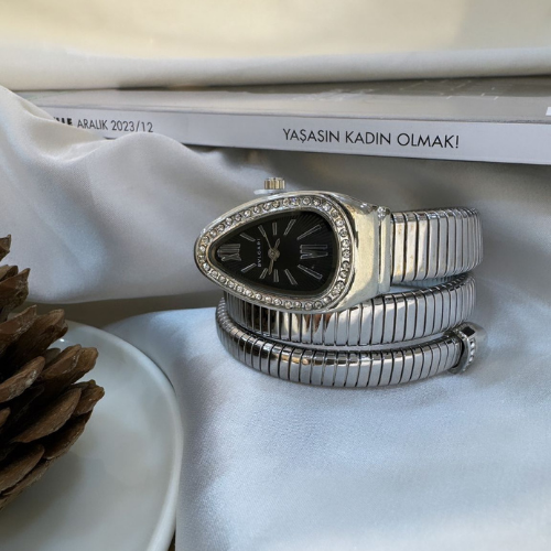 Özel Marka Yılan Model Silver Saat
